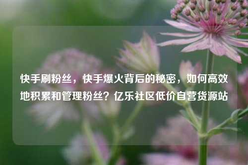 快手刷粉丝，快手爆火背后的秘密，如何高效地积累和管理粉丝？亿乐社区低价自营货源站  第1张
