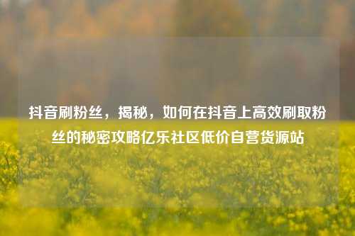 抖音刷粉丝，揭秘，如何在抖音上高效刷取粉丝的秘密攻略亿乐社区低价自营货源站  第1张