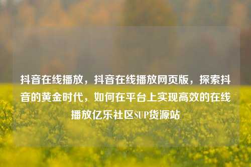 抖音在线播放，抖音在线播放网页版	，探索抖音的黄金时代，如何在平台上实现高效的在线播放亿乐社区SUP货源站  第1张