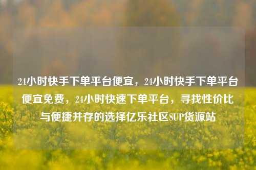 24小时快手下单平台便宜	，24小时快手下单平台便宜免费，24小时快速下单平台，寻找性价比与便捷并存的选择亿乐社区SUP货源站  第1张