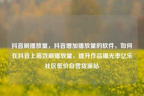 抖音刷播放量	，抖音增加播放量的软件，如何在抖音上高效刷播放量，提升作品曝光率亿乐社区低价自营货源站  第1张