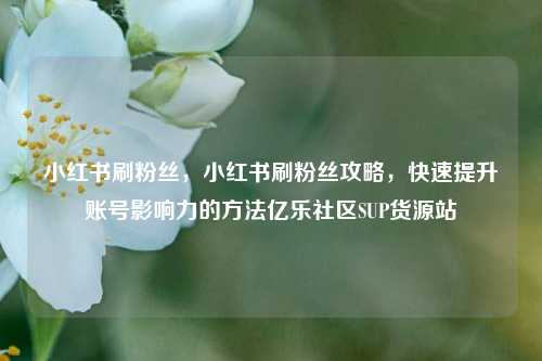 小红书刷粉丝，小红书刷粉丝攻略	，快速提升账号影响力的方法亿乐社区SUP货源站  第1张