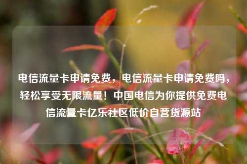 电信流量卡申请免费，电信流量卡申请免费吗	，轻松享受无限流量！中国电信为你提供免费电信流量卡亿乐社区低价自营货源站  第1张
