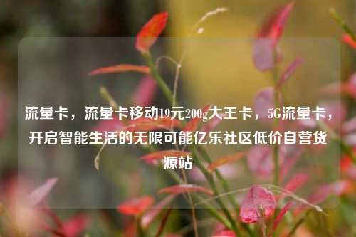 流量卡，流量卡移动19元200g大王卡，5G流量卡	，开启智能生活的无限可能亿乐社区低价自营货源站  第1张