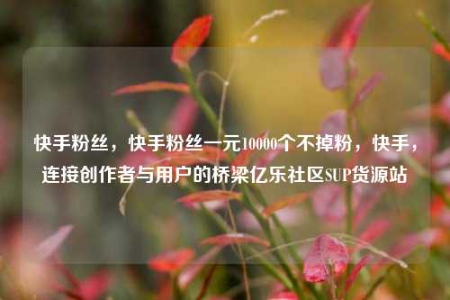 快手粉丝	，快手粉丝一元10000个不掉粉，快手，连接创作者与用户的桥梁亿乐社区SUP货源站  第1张