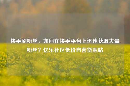 快手刷粉丝，如何在快手平台上迅速获取大量粉丝？亿乐社区低价自营货源站  第1张