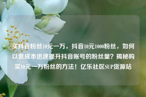 买抖音粉丝10元一万，抖音10元1000粉丝，如何以低成本迅速提升抖音账号的粉丝量？揭秘购买10元一万粉丝的方法！亿乐社区SUP货源站  第1张