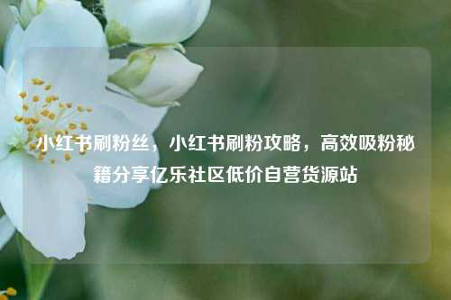 小红书刷粉丝，小红书刷粉攻略，高效吸粉秘籍分享亿乐社区低价自营货源站  第1张
