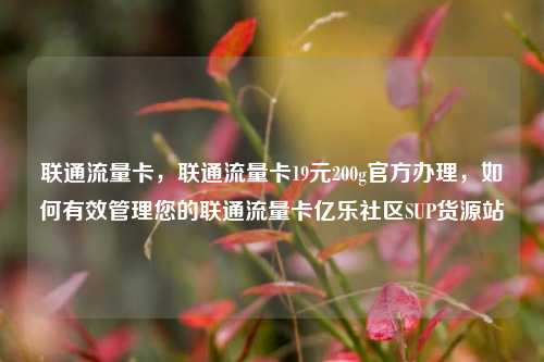 联通流量卡，联通流量卡19元200g官方办理	，如何有效管理您的联通流量卡亿乐社区SUP货源站  第1张