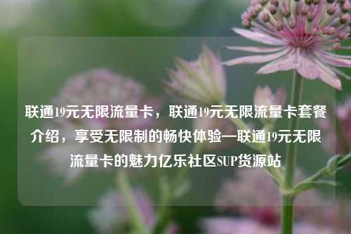 联通19元无限流量卡，联通19元无限流量卡套餐介绍，享受无限制的畅快体验—联通19元无限流量卡的魅力亿乐社区SUP货源站  第1张