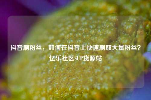 抖音刷粉丝，如何在抖音上快速刷取大量粉丝？亿乐社区SUP货源站  第1张
