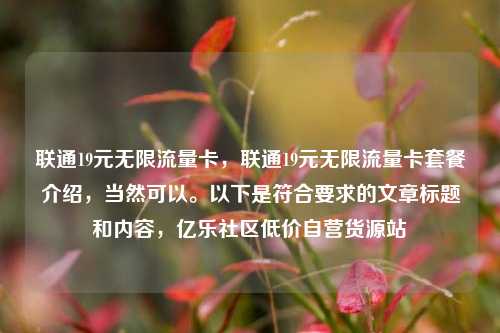 联通19元无限流量卡，联通19元无限流量卡套餐介绍，当然可以。以下是符合要求的文章标题和内容，亿乐社区低价自营货源站  第1张
