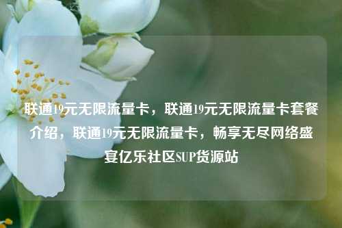联通19元无限流量卡，联通19元无限流量卡套餐介绍，联通19元无限流量卡，畅享无尽网络盛宴亿乐社区SUP货源站  第1张